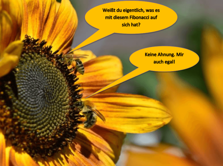 Mehr über den Artikel erfahren Imkereigeschichten